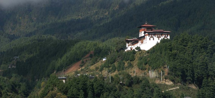 JakarZong 