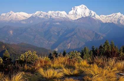 Ghorepani Poon Hill Trek